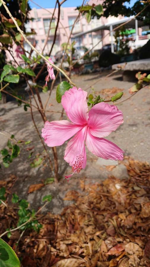 Ching Ji Ming Inn Kenting Buitenkant foto